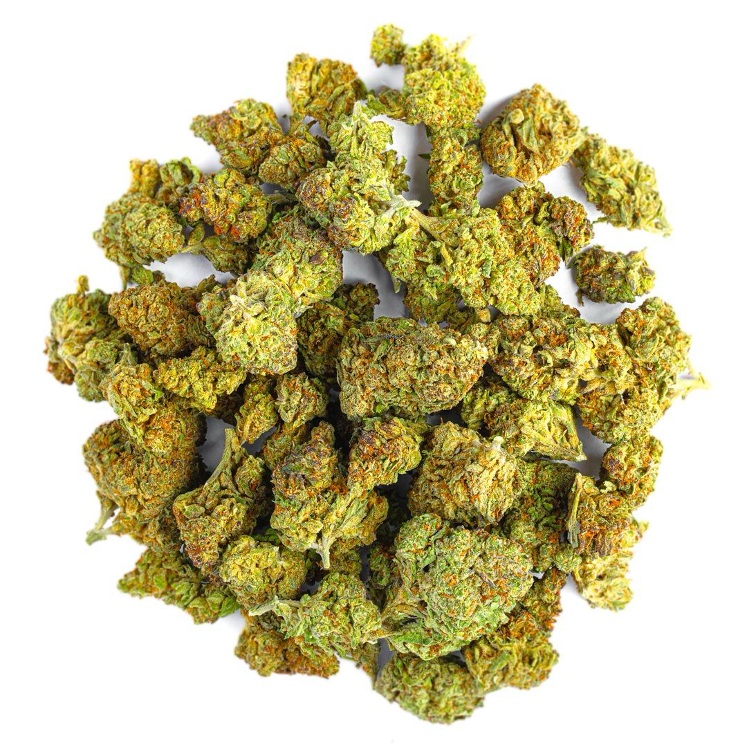 Biscotti Cake - 28 Grams - Hybrid