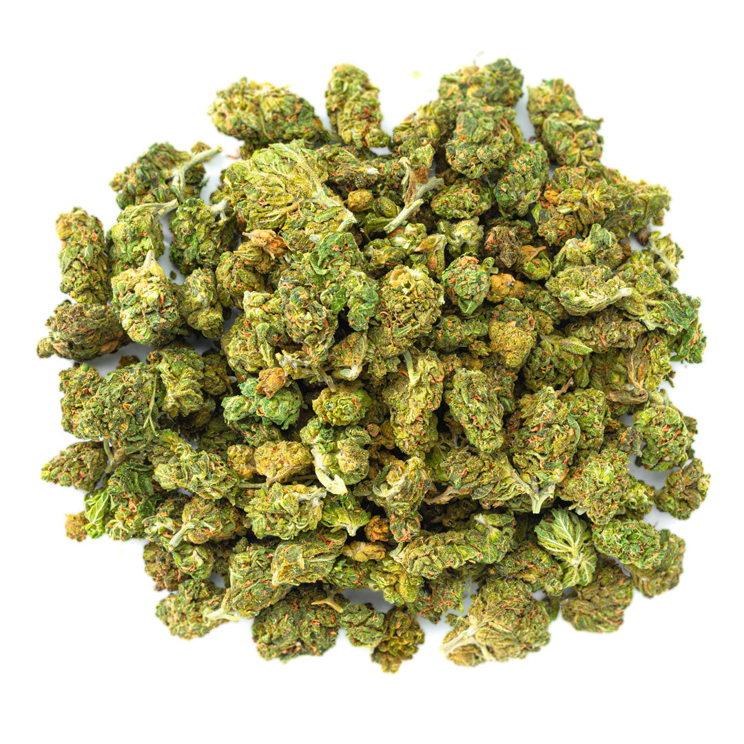 ZAZA - Ghost Train Haze - 28 Grams Littles - Sativa