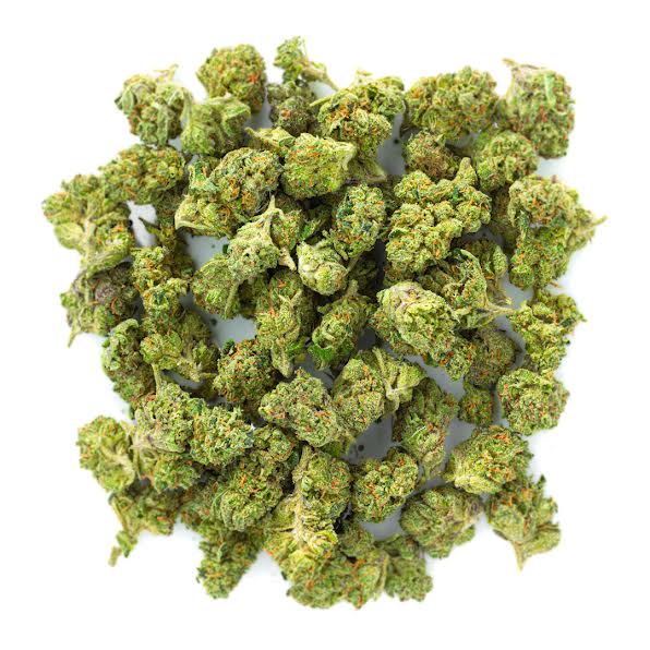 ZAZA - Gelato 33 - Littles - 28 Grams - Hybrid