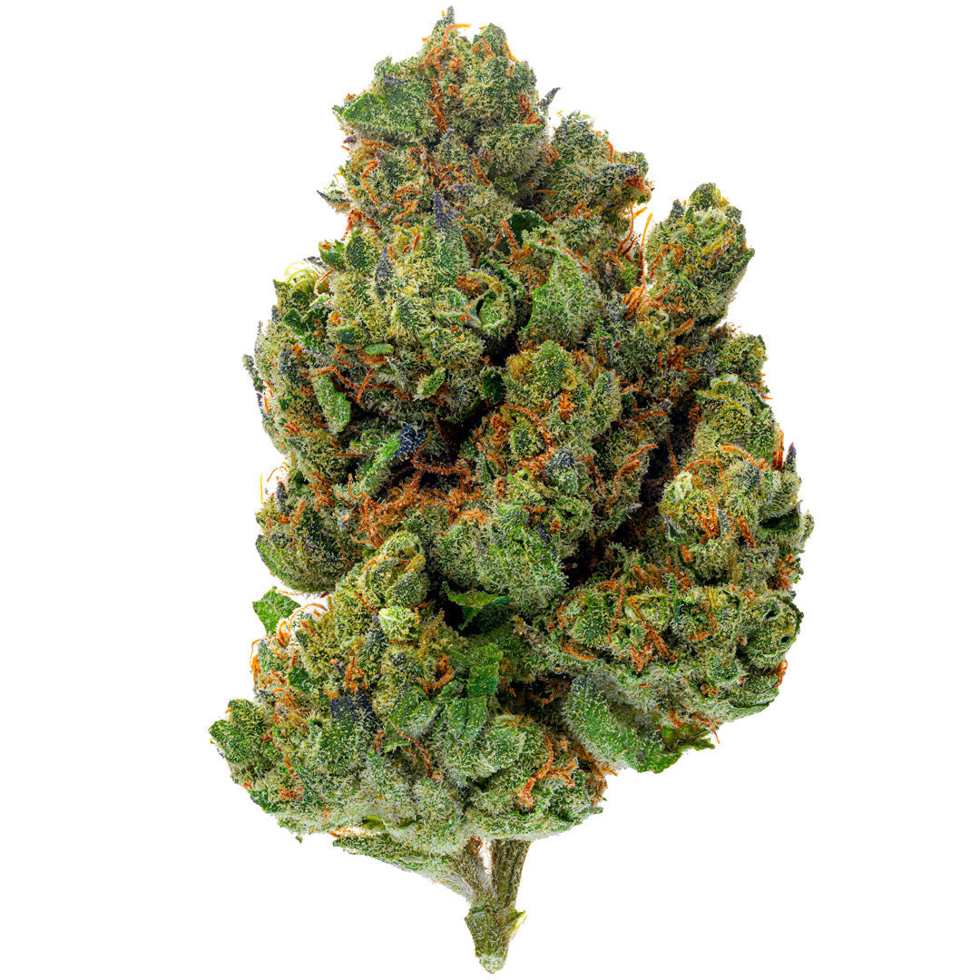 KIND - Chocolate Diesel - 4 Gram - Hybrid